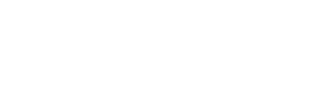 Senniors Logo